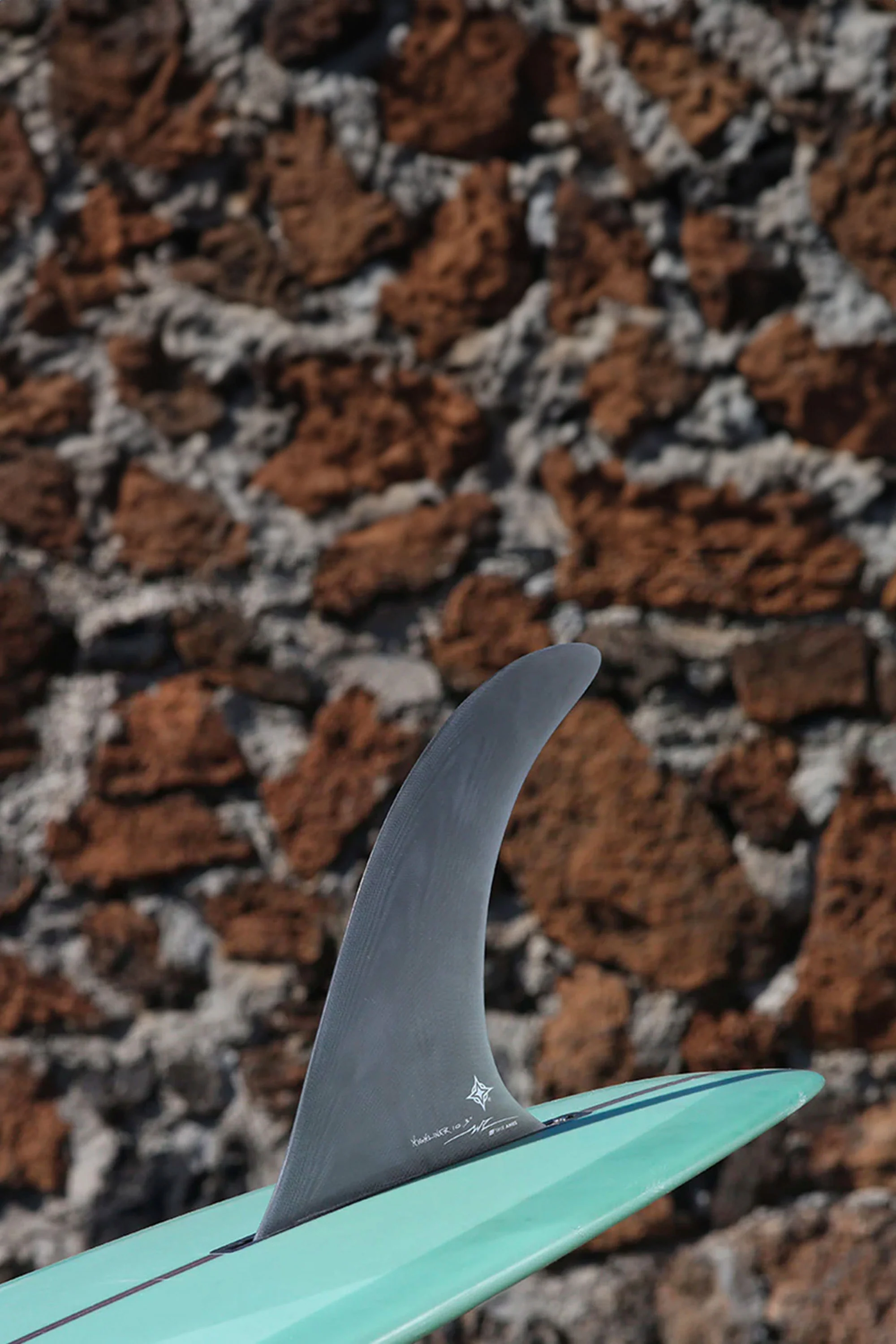 TRUE AMES - WAYNE RICH HIGHLINER 10.3 - SMOKE - 1FIN - Image 2